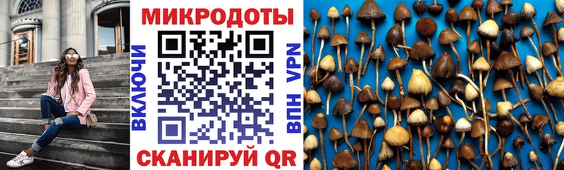 Галлюциногенные грибы GOLDEN TEACHER Асино