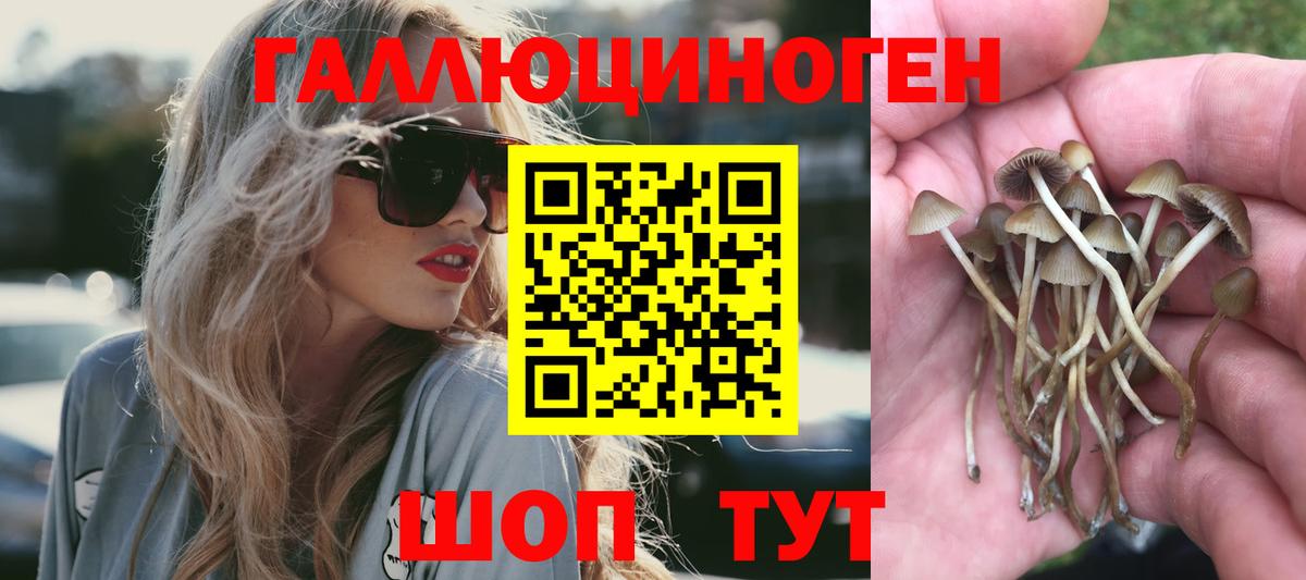 Галлюциногенные грибы мицелий  купить  цена  Асино 