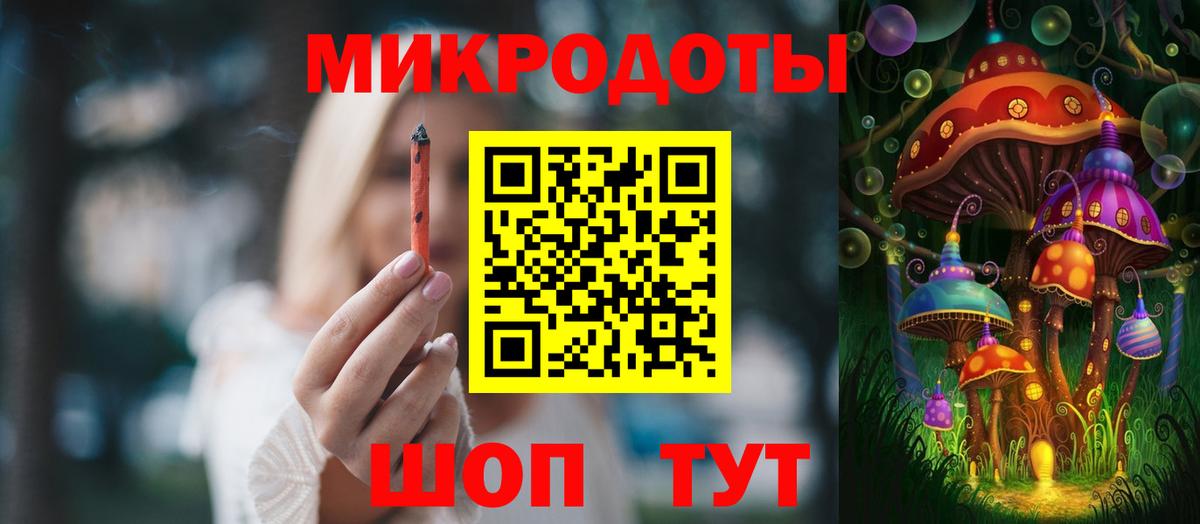 Галлюциногенные грибы Psilocybine cubensis Асино