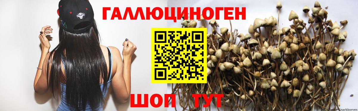 Галлюциногенные грибы Cubensis  Вход с VPN  Асино 
