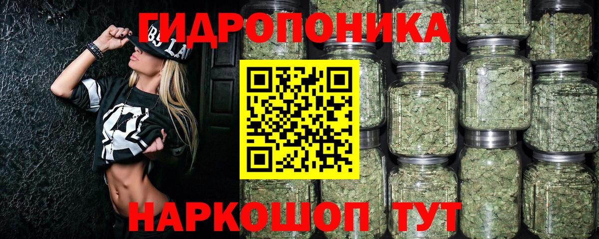 Шишки марихуана гибрид  Вход с VPN  Шишки марихуана AK-47  Марихуана Bruce Banner  Шишки марихуана марихуана  Асино 