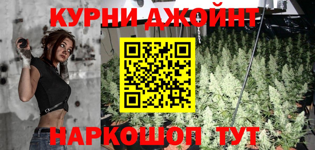 Бошки Шишки семена  Каннабис сатива  Шишки марихуана гибрид  Канабис Ganja  Асино 